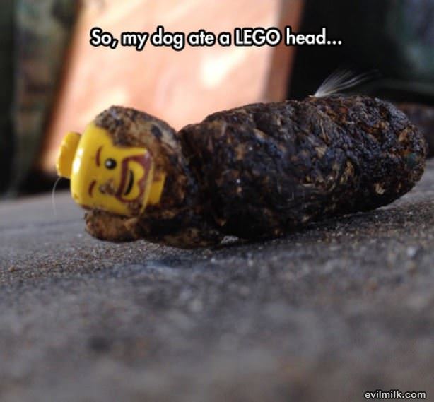 My Dog Ate A Lego