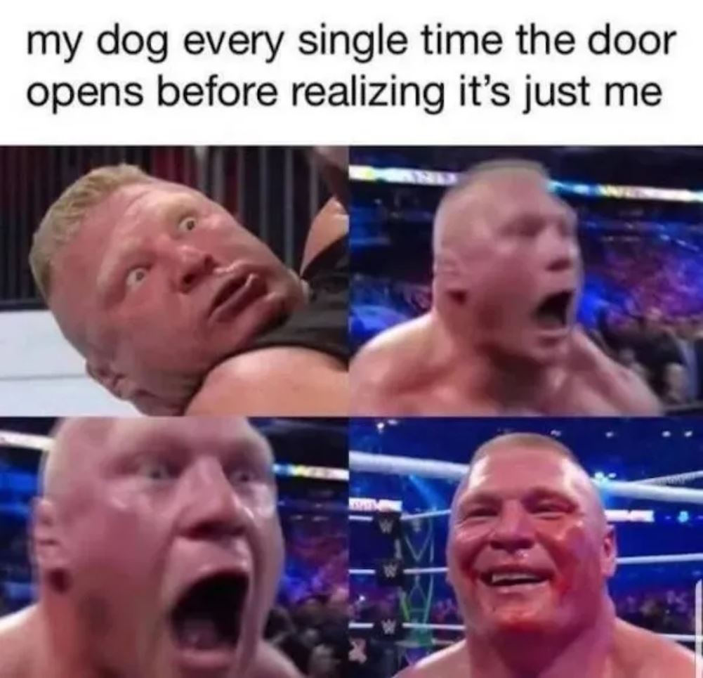 My Dog Every Time