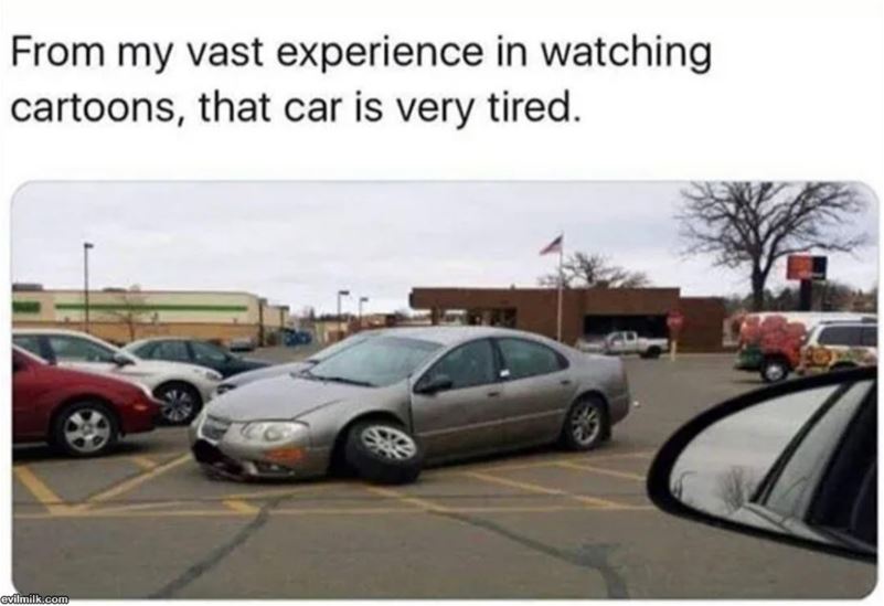 My Experience