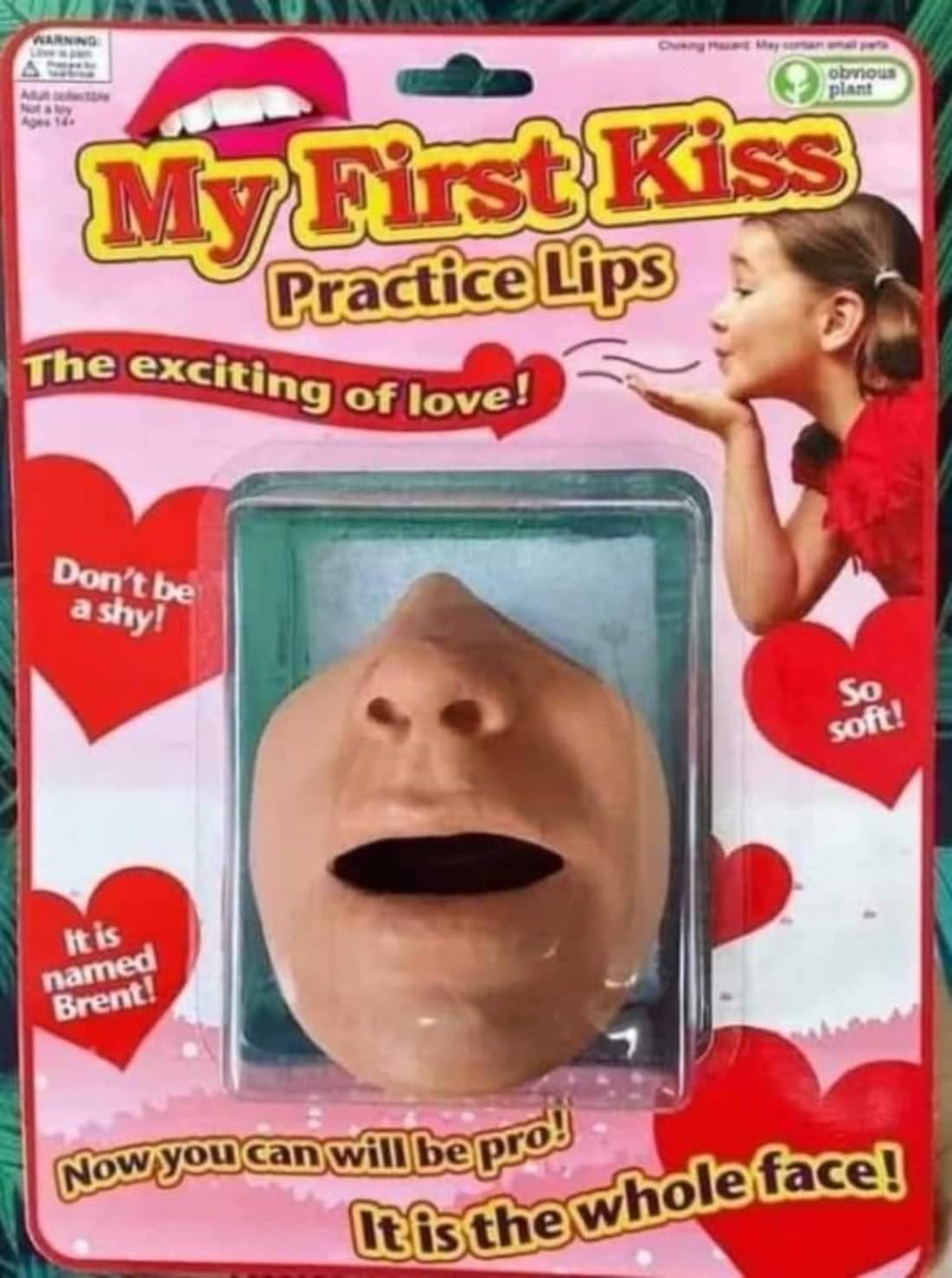 My First Kiss