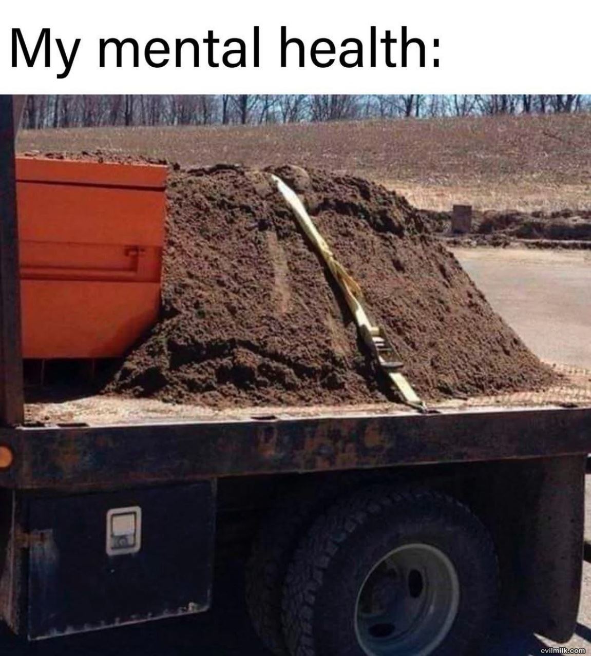 My Mental Health