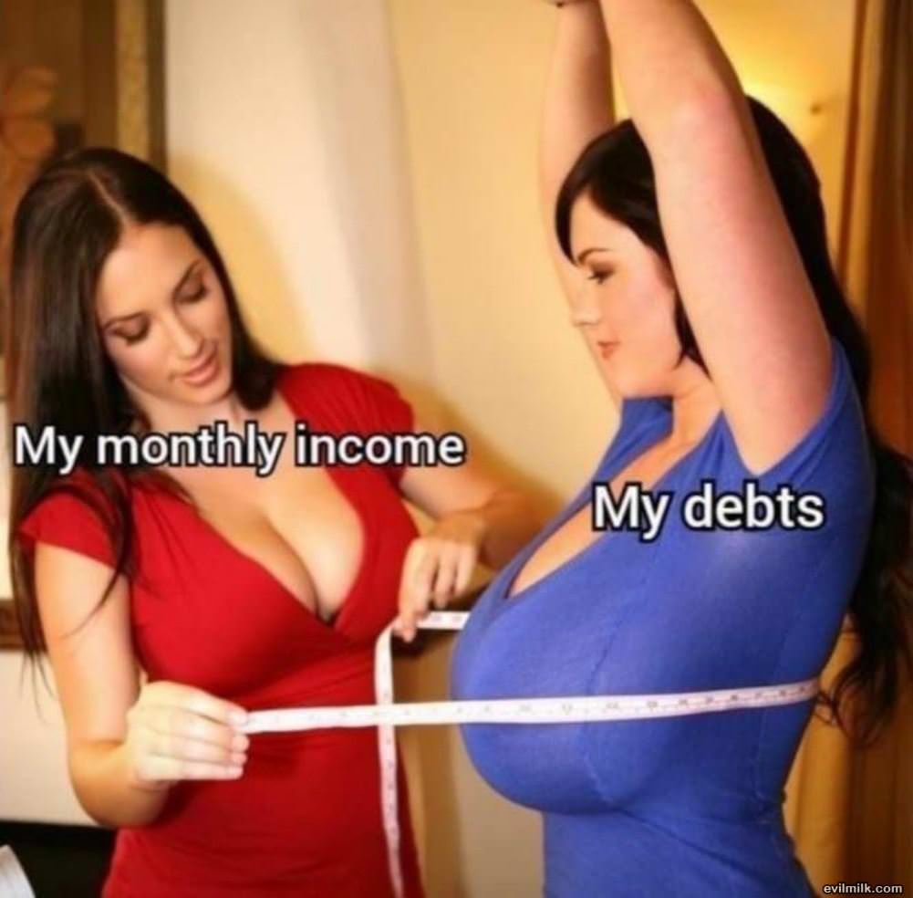 My Monthly Income