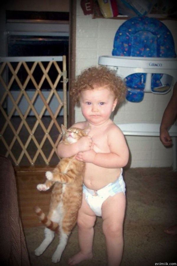 My Pet Cat