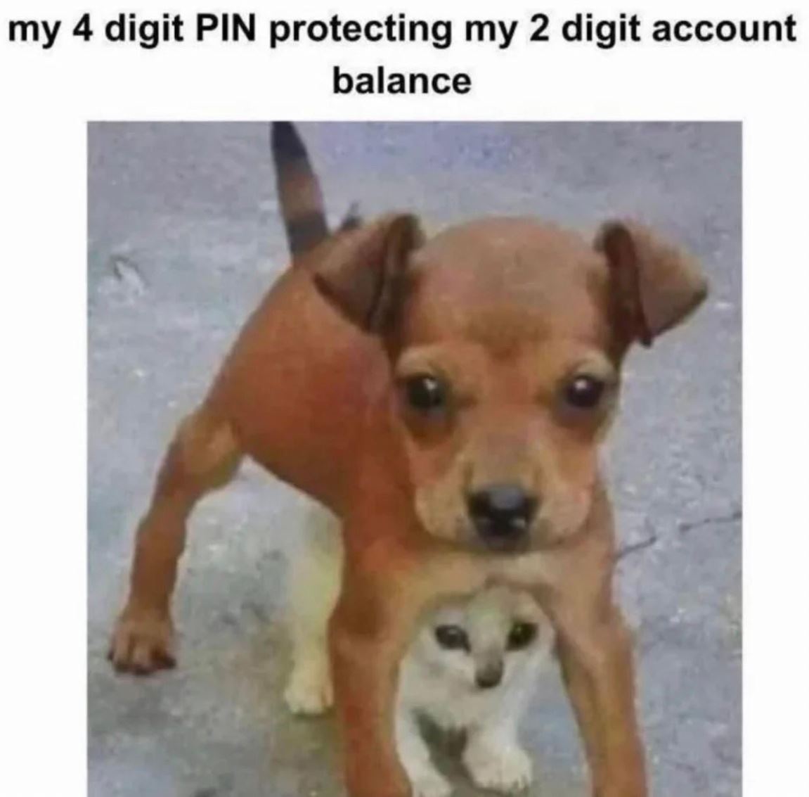 My Pin