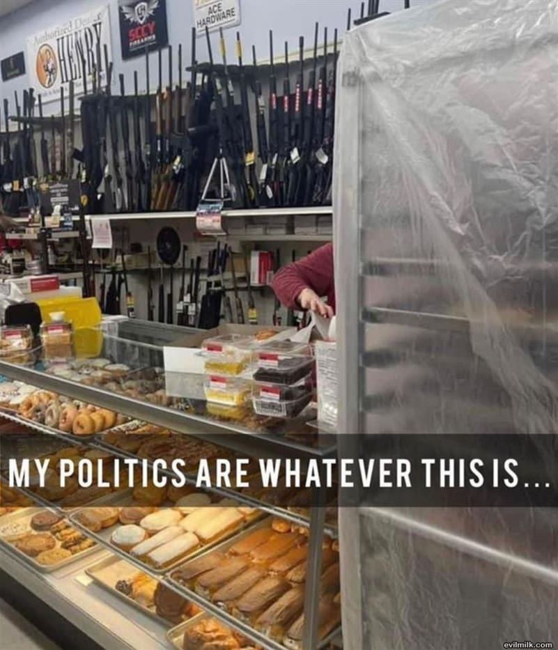 My Politics