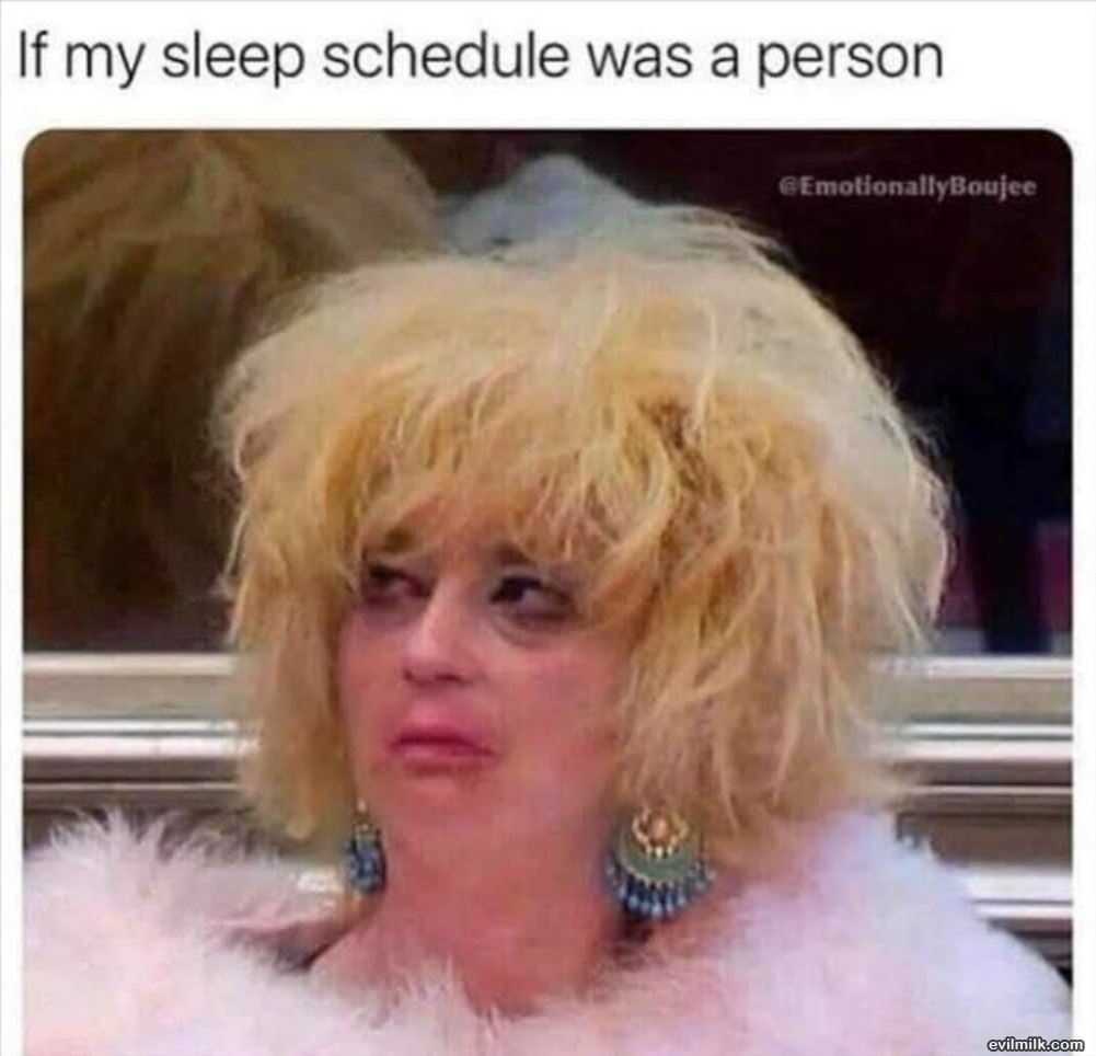 My Sleep Schedule