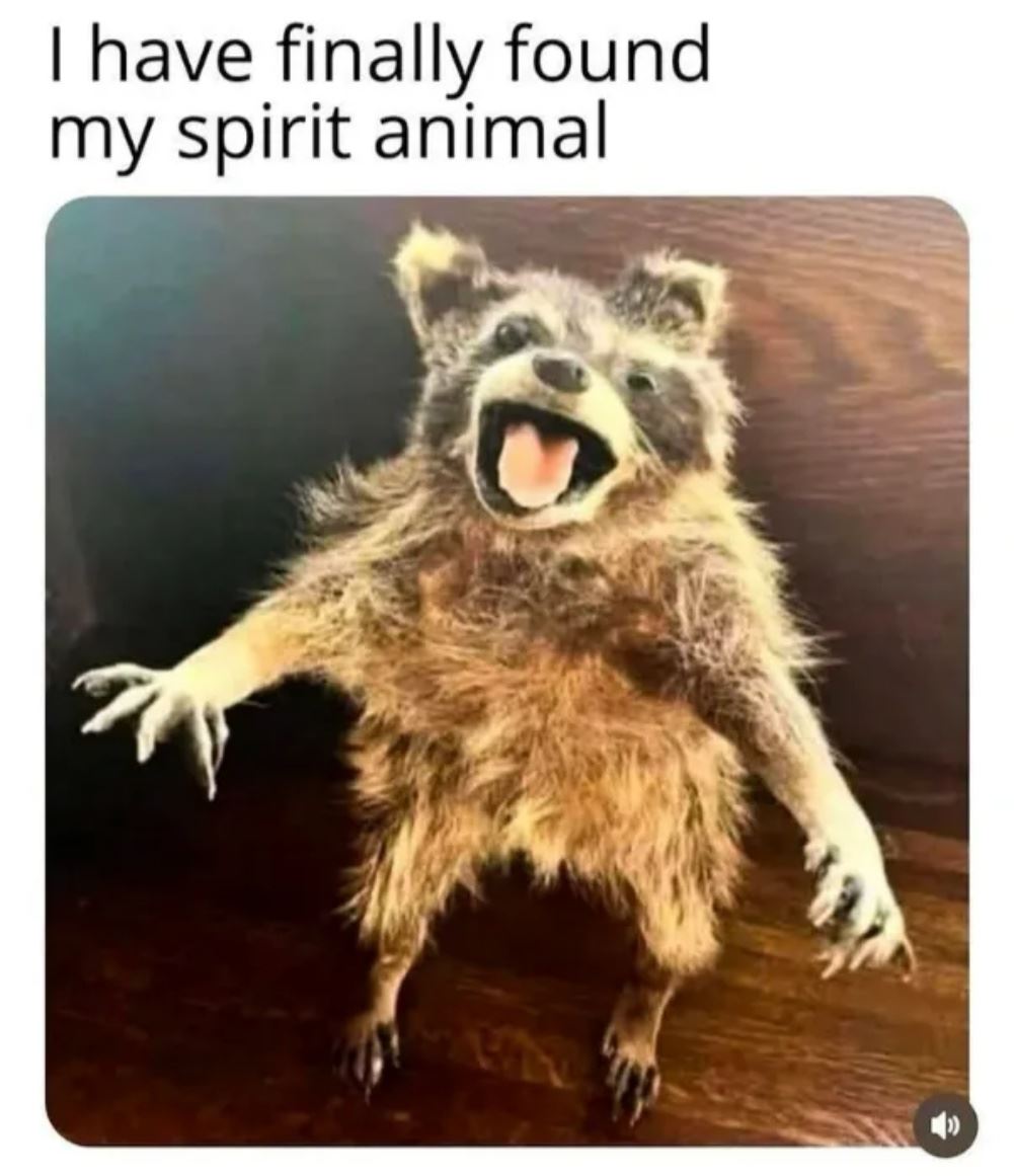 My Spirit Animal