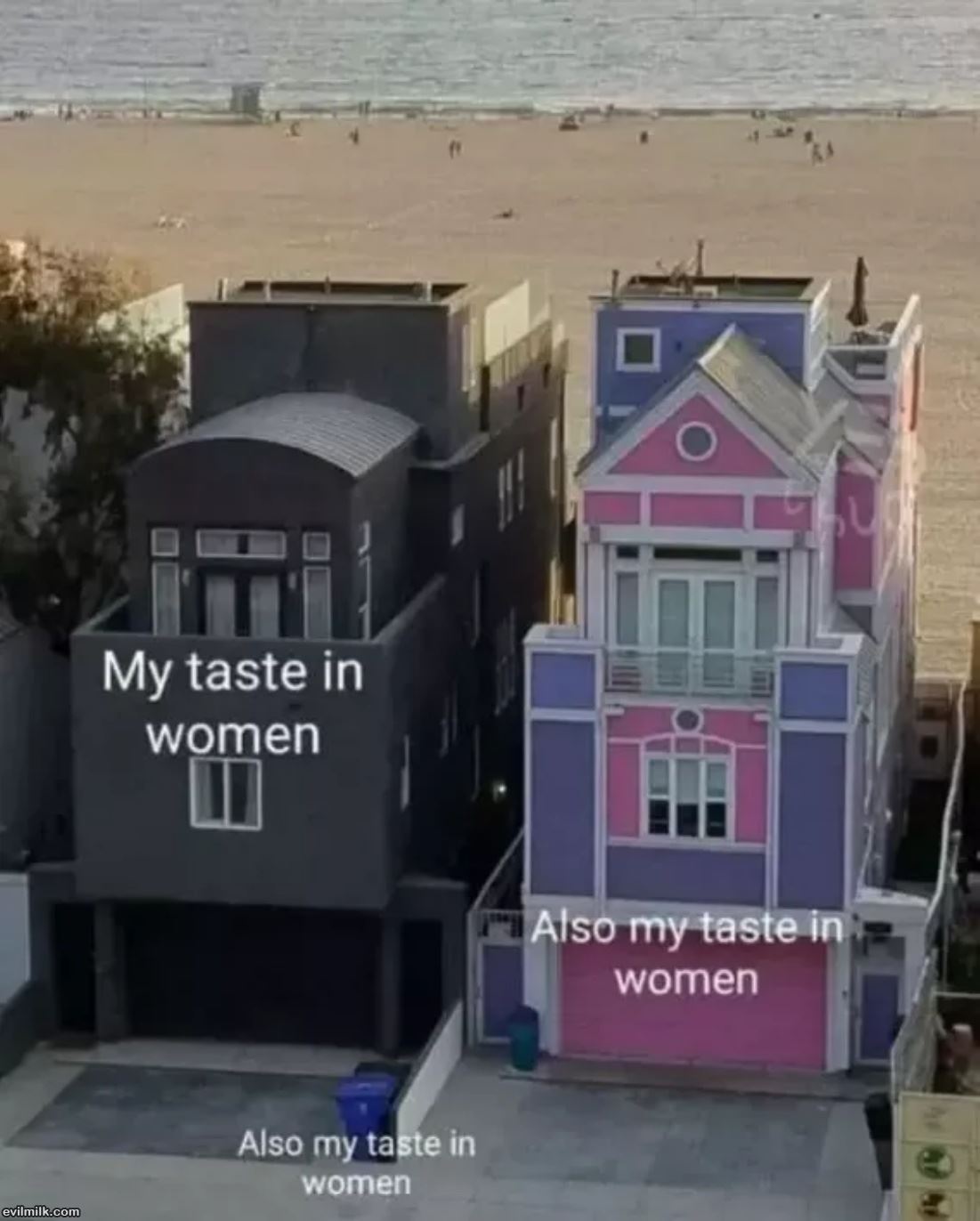 My Taste In Women