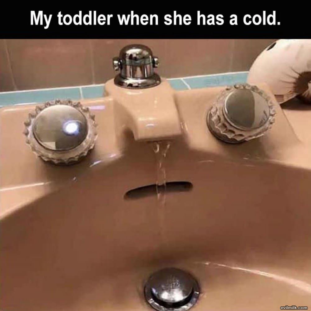 My Toddler Has A Cold