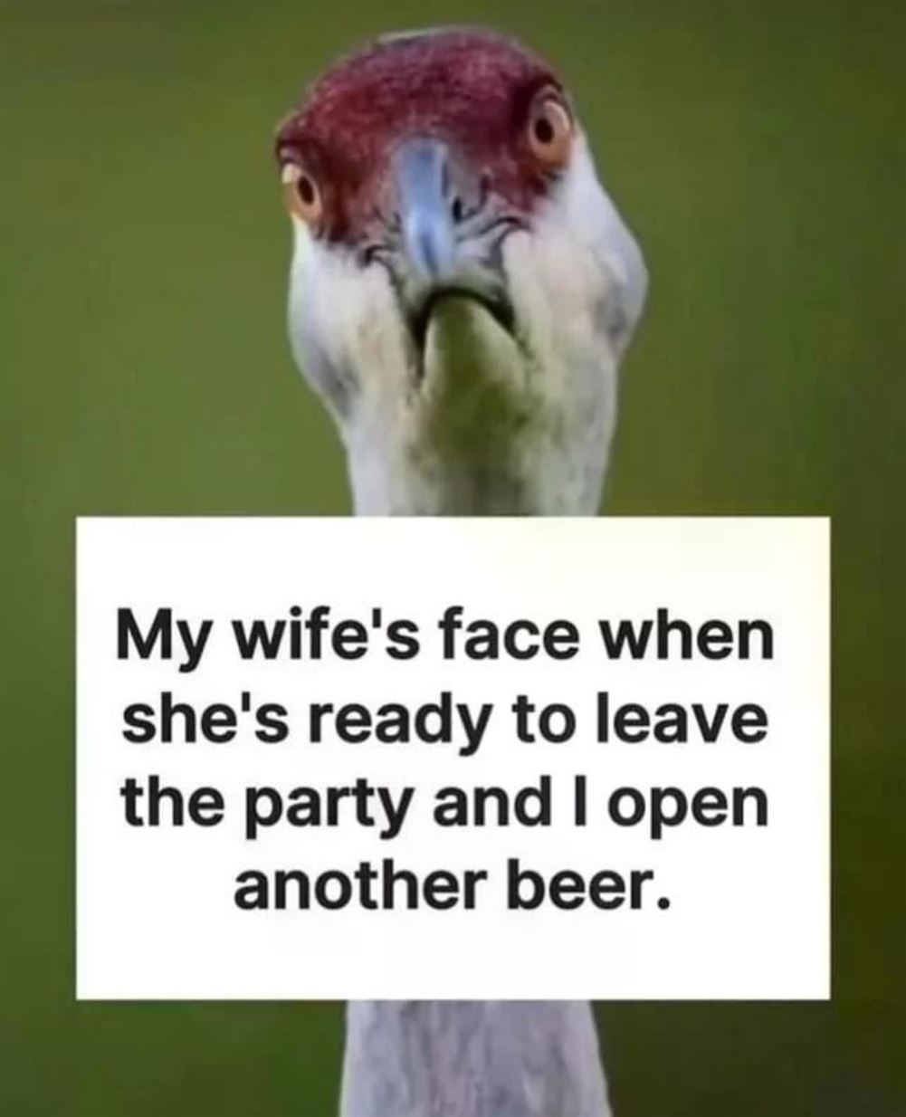 My Wifes Face