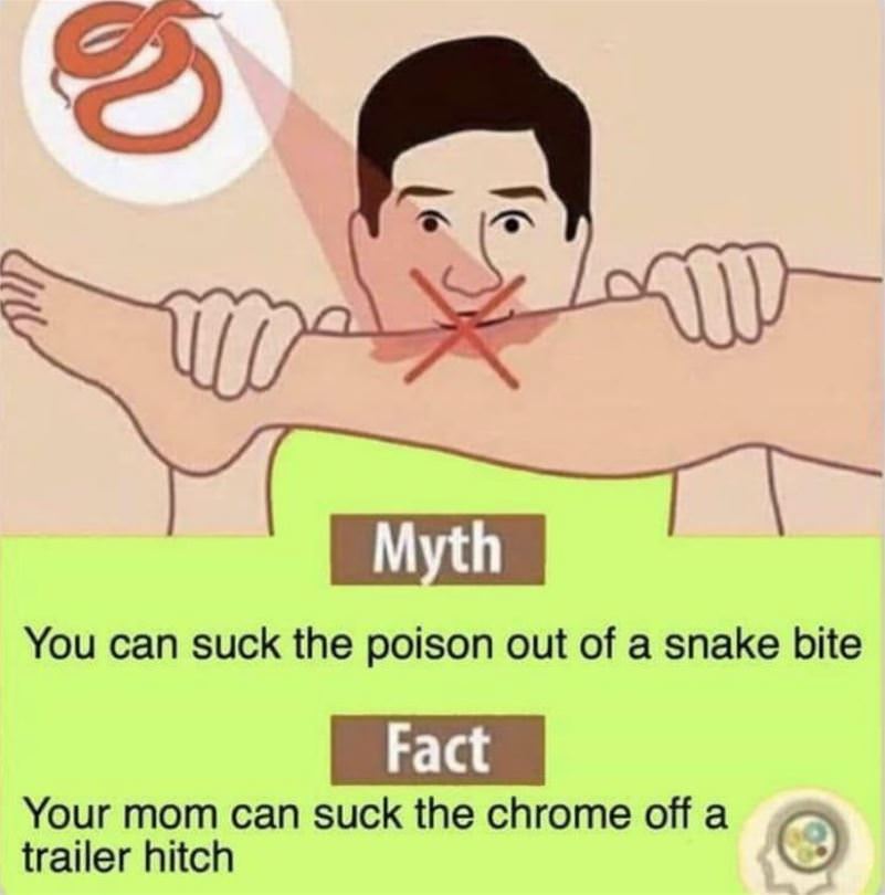Myth Vs Fact