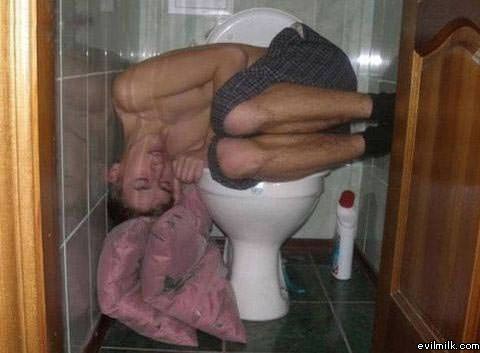 Nap Time Toilet