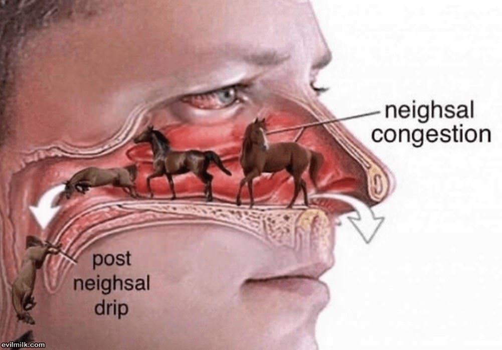 Nasal Congestion