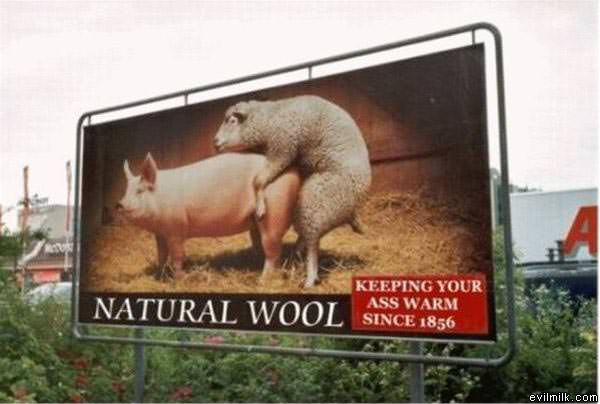 Natural Wool