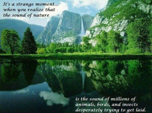 Nature