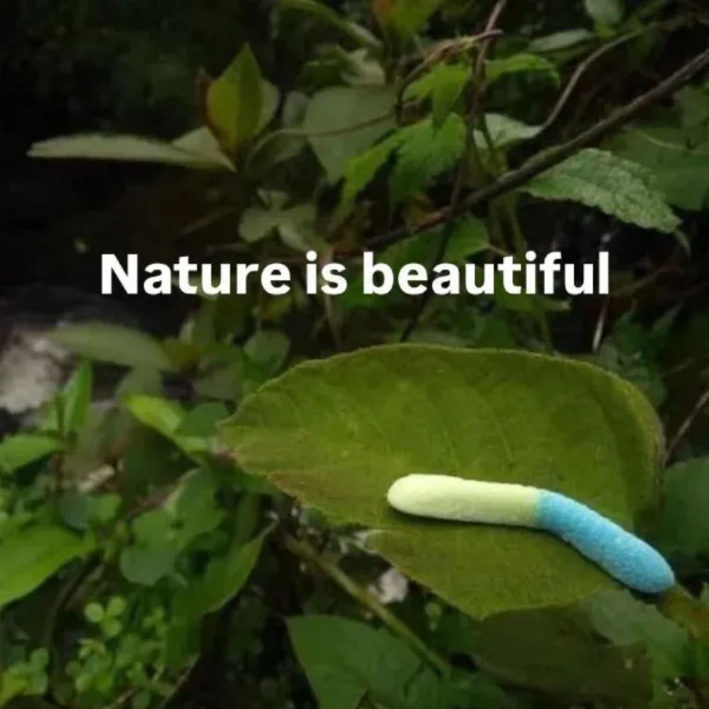 Nature Is Beautiful