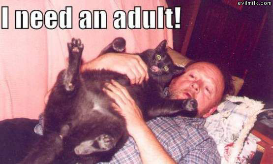 Need An Adult