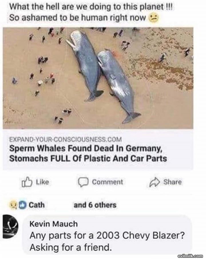 Need Some Parts