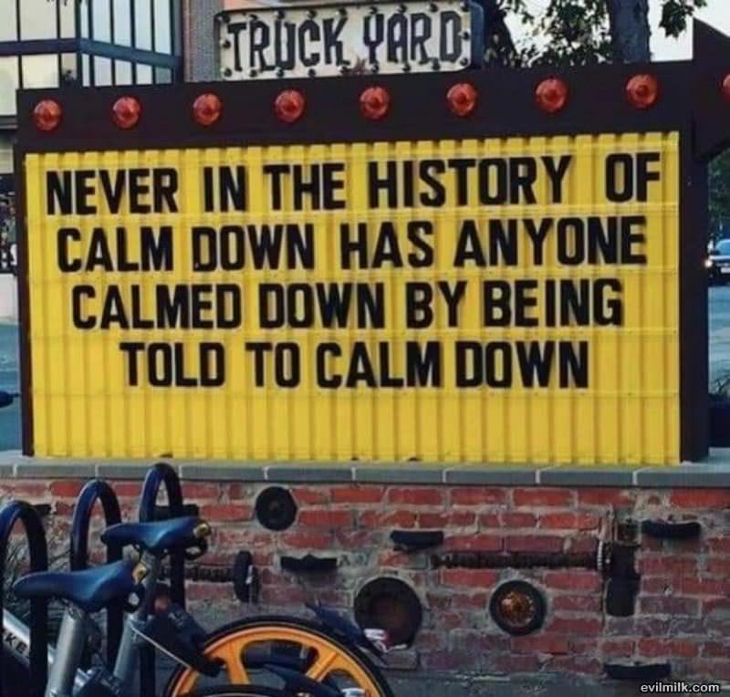 Never In The History Of Calm Down