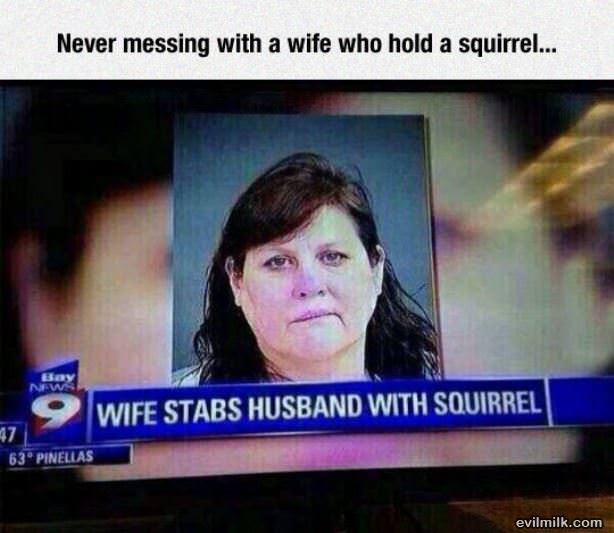 Never Mess With