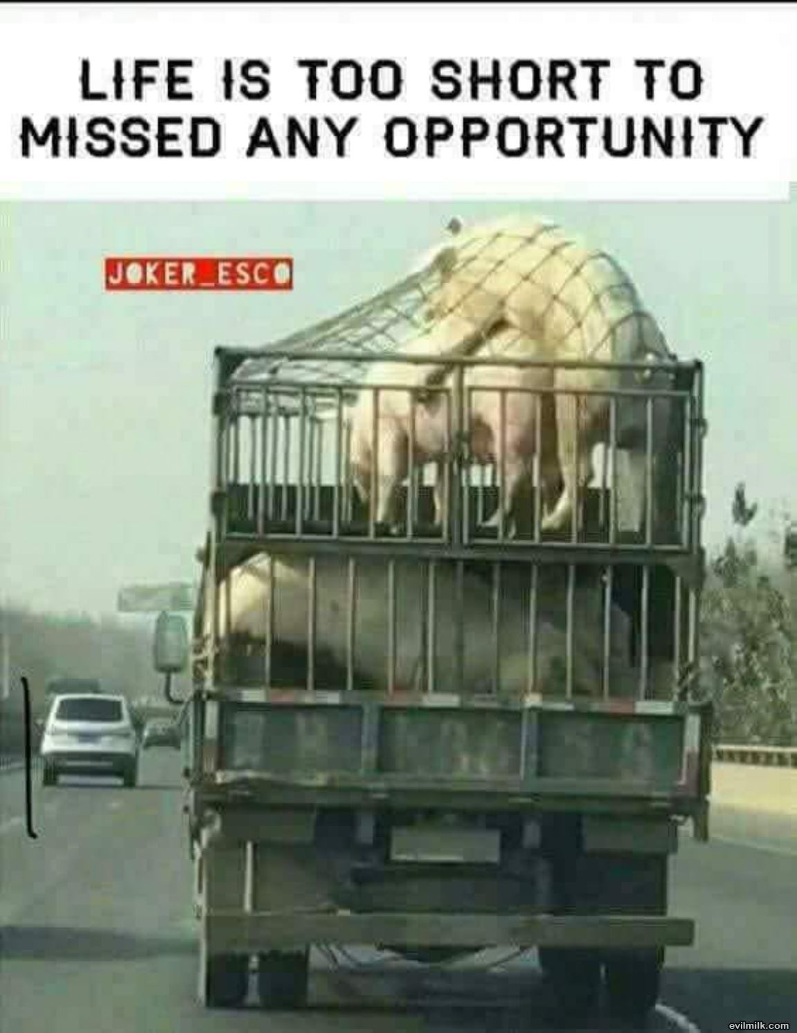 Never Miss An Opportunity