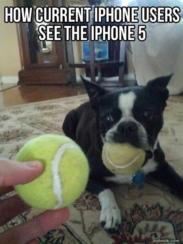New Iphones