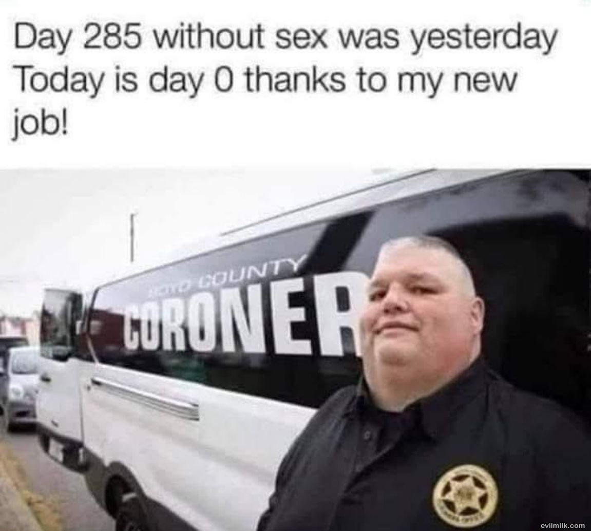 New Job