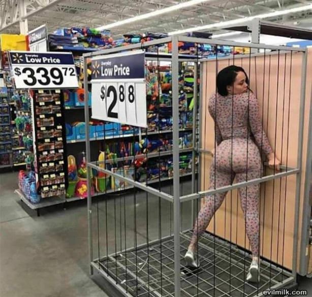 New Low Price