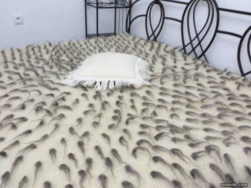 Nice Bed You Have There
