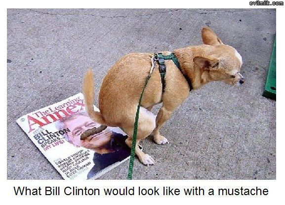 Nice Mustache