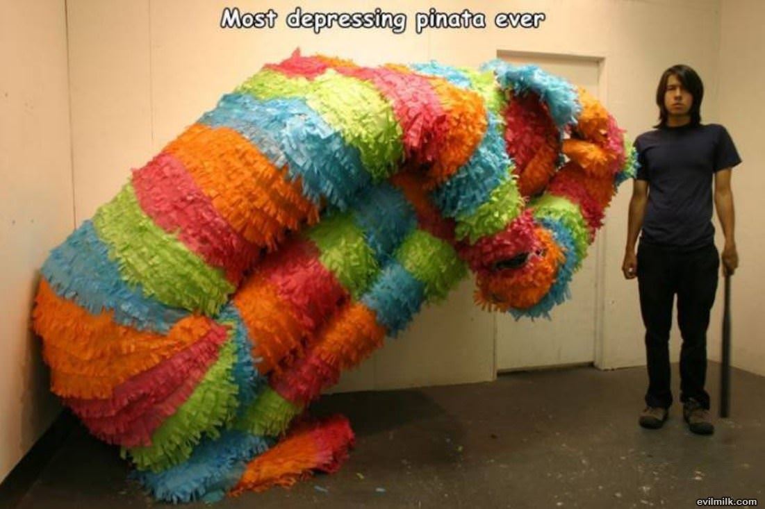 Nice Pinata