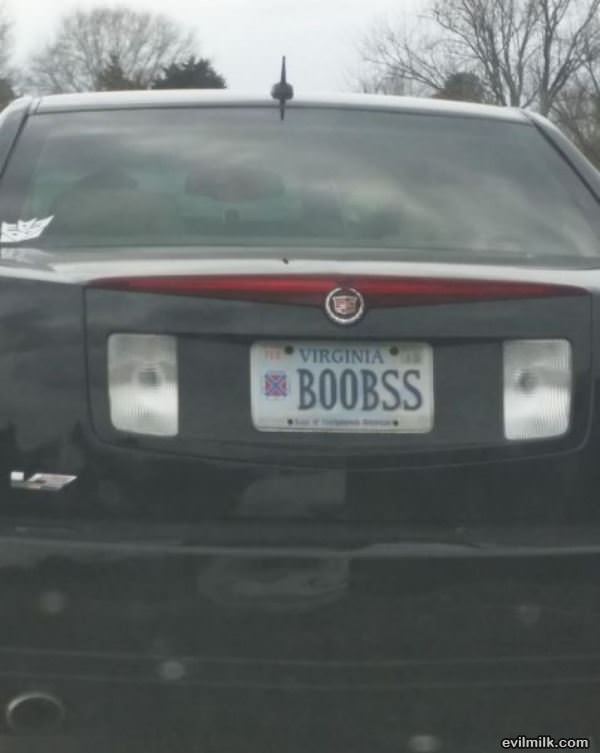 Nice Plates