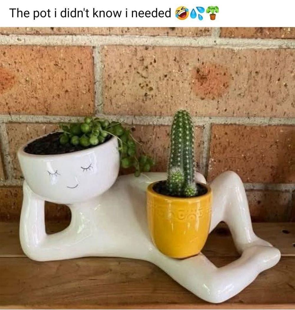 Nice Pot