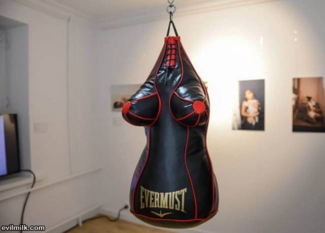 Nice Punching Bag
