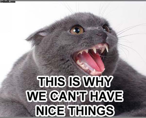 Nice Things