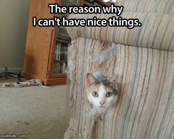 Nice Things