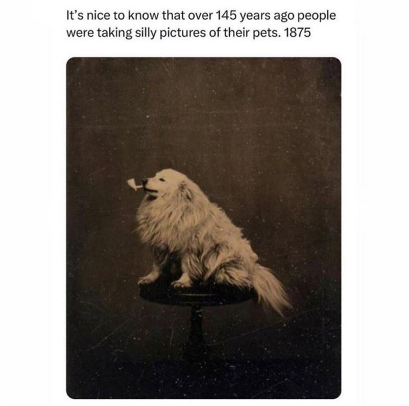 Nice To Know
