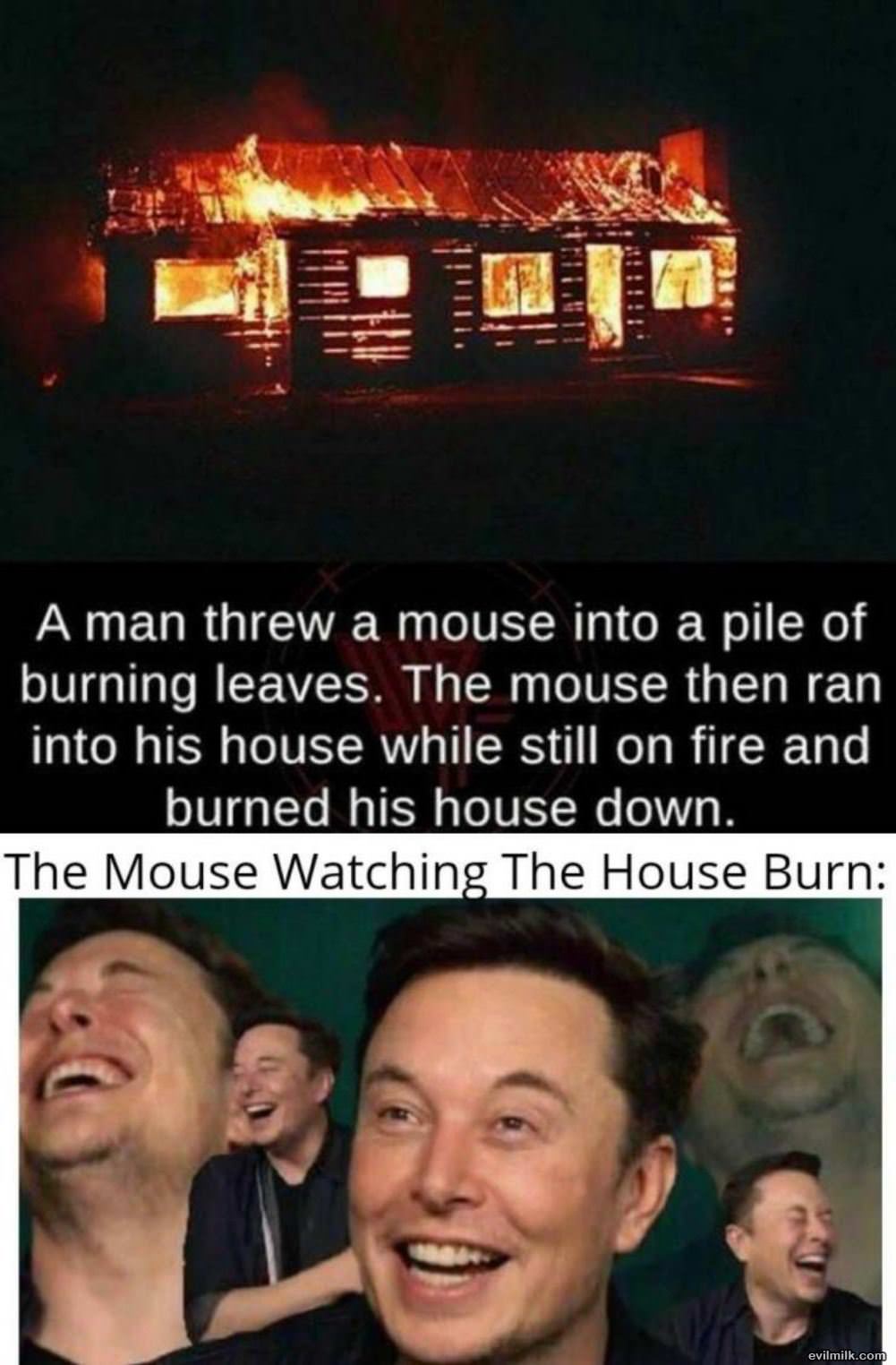 Nice Try Buddy