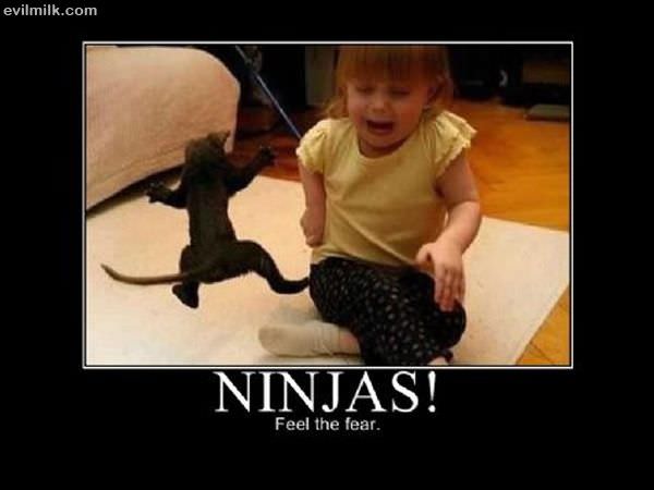 Ninjas