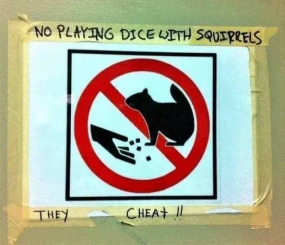 No Dice With Squirrels