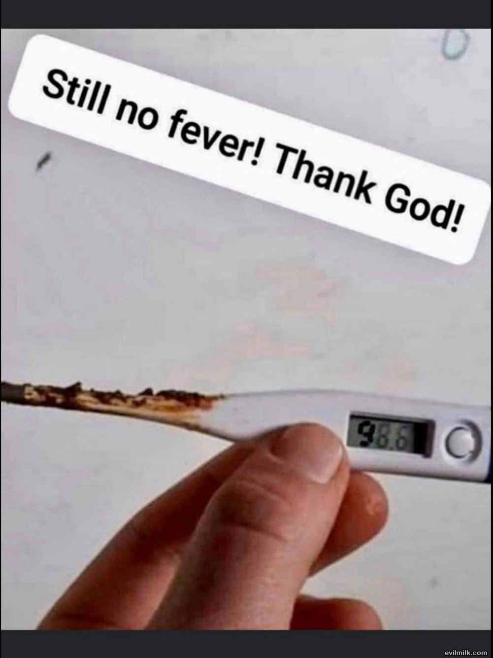 No Fever