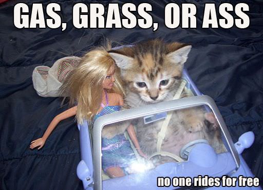 No Free Rides