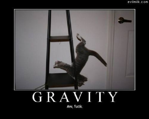 No Gravity