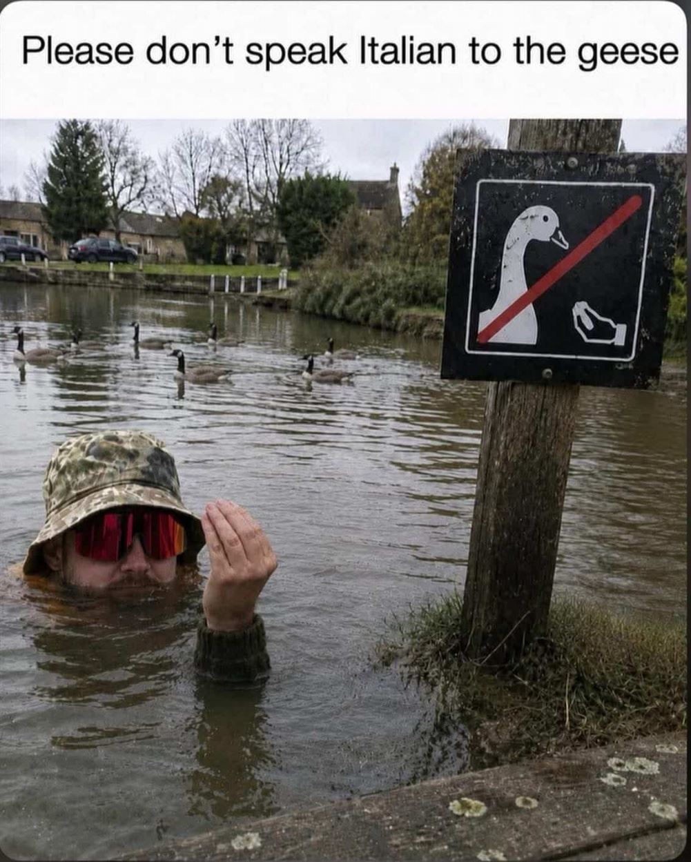 No Italian