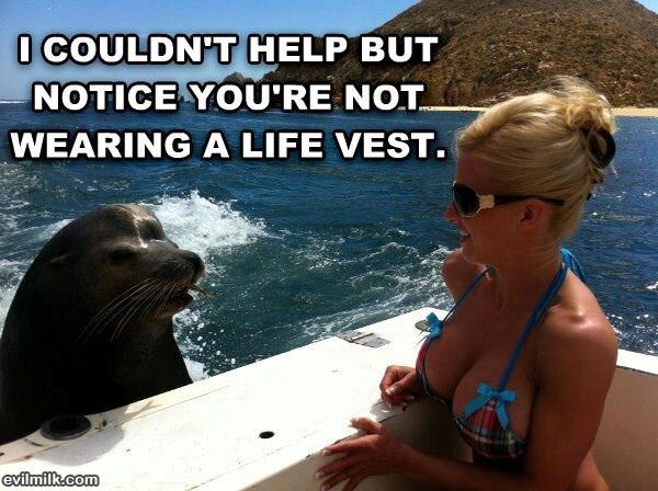 No Life Vest