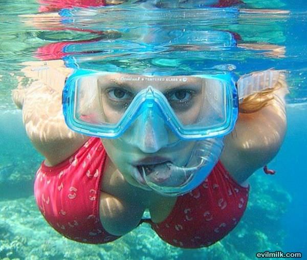 No Life Vest Needed