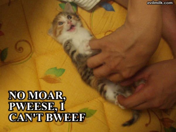 No More Pweez