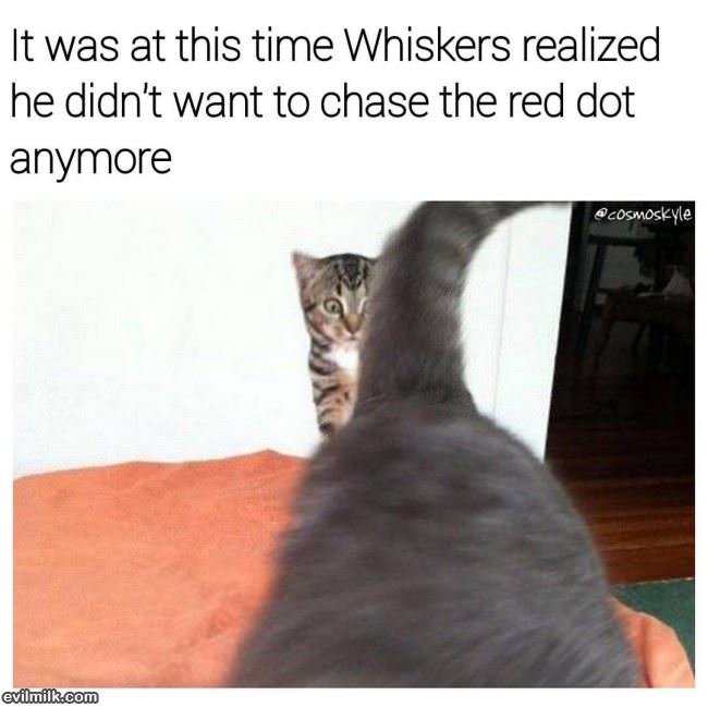 No More Red Dot