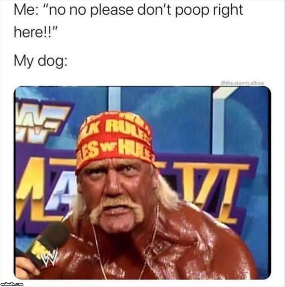 No No No