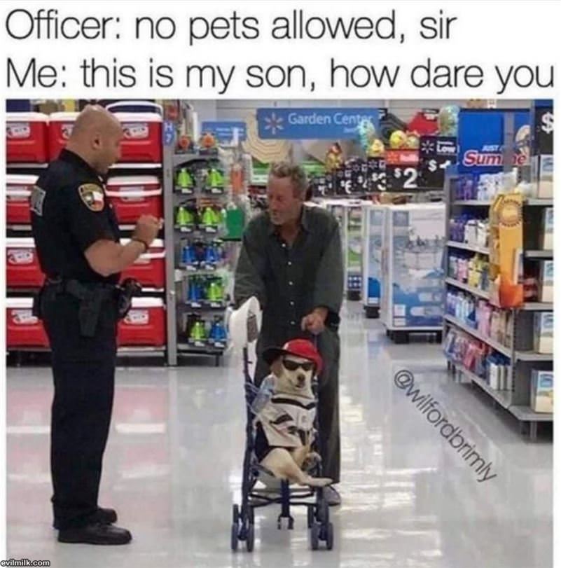 No Pets Allowed